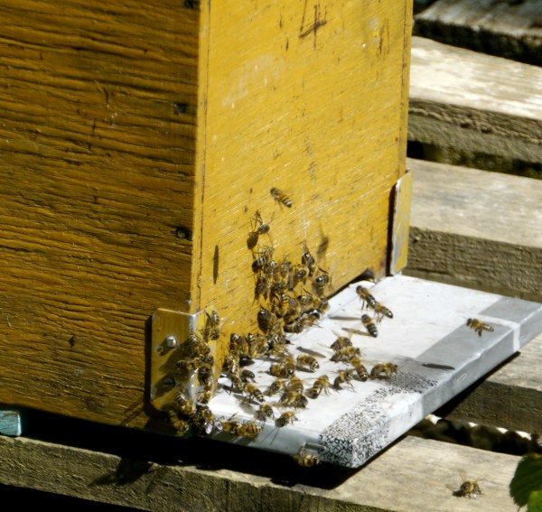 from outside, at least, all seems well