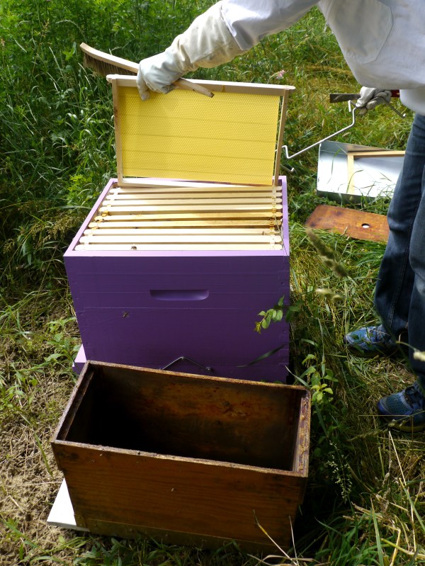 Honey (that's what I want)