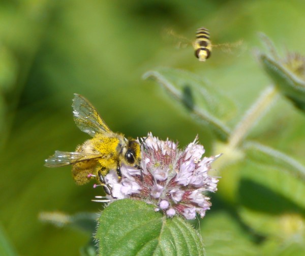 we know where you've been!